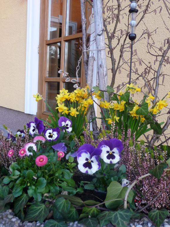 Ferienhotel Herzog Neumarkt am Wallersee Exterior foto